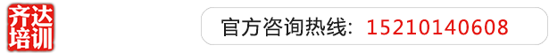 大鸡把艹逼逼视频齐达艺考文化课-艺术生文化课,艺术类文化课,艺考生文化课logo